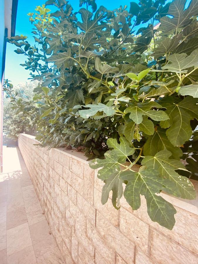 Hotel Buenavista Beach House Trogir Mastrinka Buitenkant foto